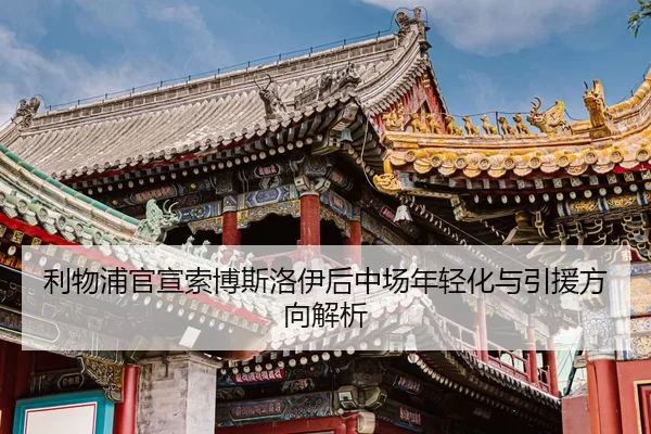 li-wu-pu-guan-xuan-suo-bo-si-luo-yi-hou-zhong-chang-nian-qing-hua-yu-yin-yuan-fang-xiang-jie-xi-2-719.jpg