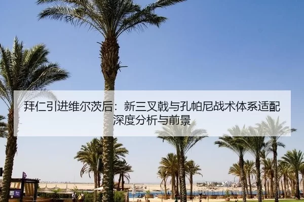 拜仁引进维尔茨后：新三叉戟与孔帕尼战术体系适配深度分析与前景