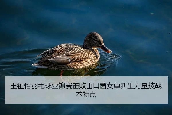王祉怡羽毛球亚锦赛击败山口茜女单新生力量技战术特点